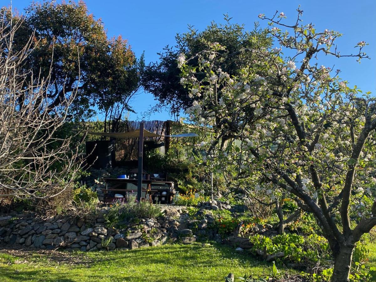 Pohara Omarama Oasis - Permaculture Glamping酒店 外观 照片